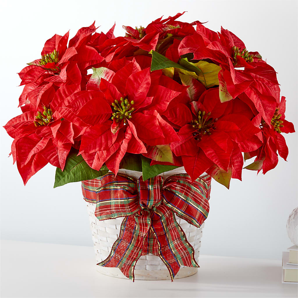 Happiest Holidays Poinsettia – Nicholasville Florist, Nicholasville KY