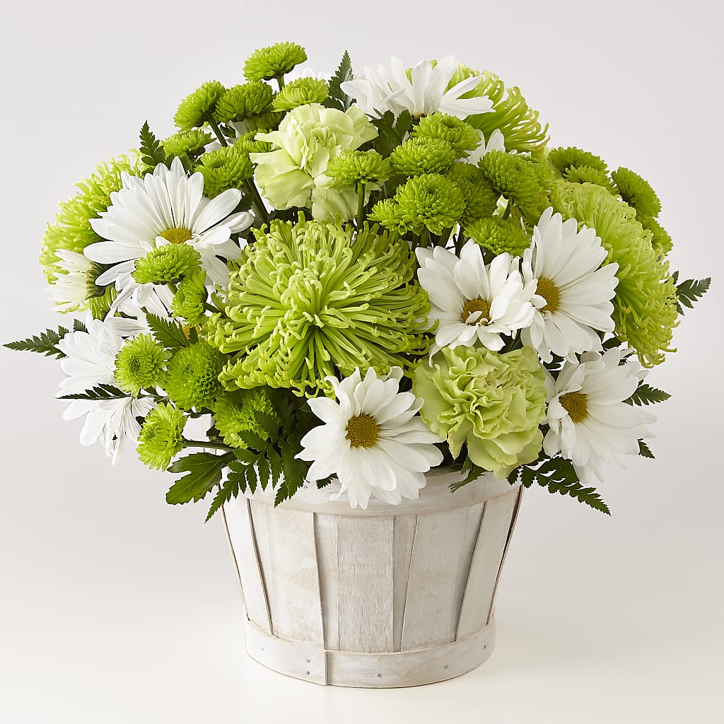 Lucky Charm Basket (Standard) – Nicholasville Florist, Nicholasville KY