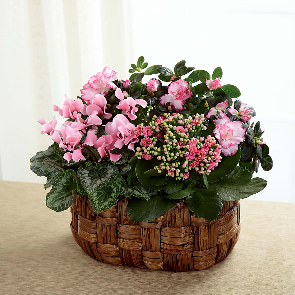 Pink Assortment – Nicholasville Florist, Nicholasville KY