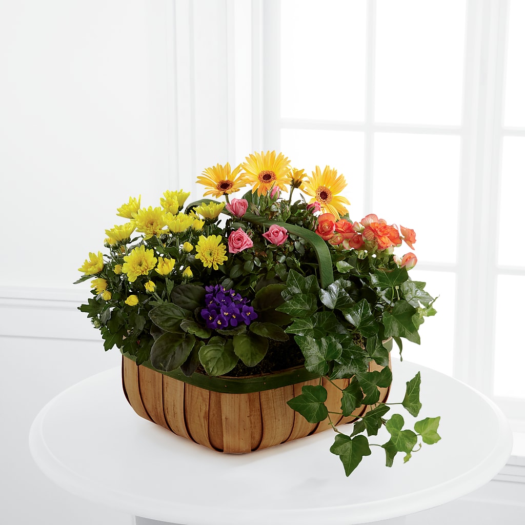 Gentle Blossoms Basket – Nicholasville Florist, Nicholasville KY