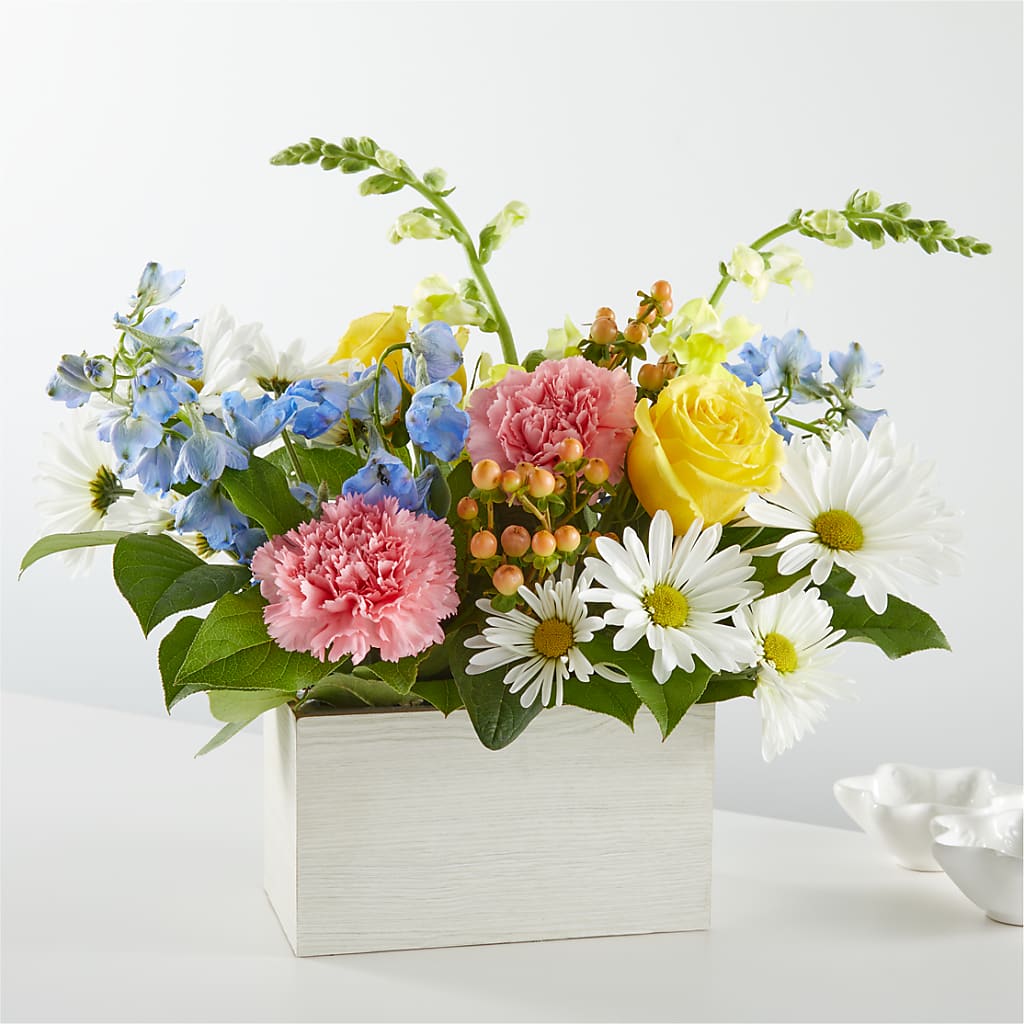Sun Salutation Box Bouquet – Nicholasville Florist, Nicholasville KY