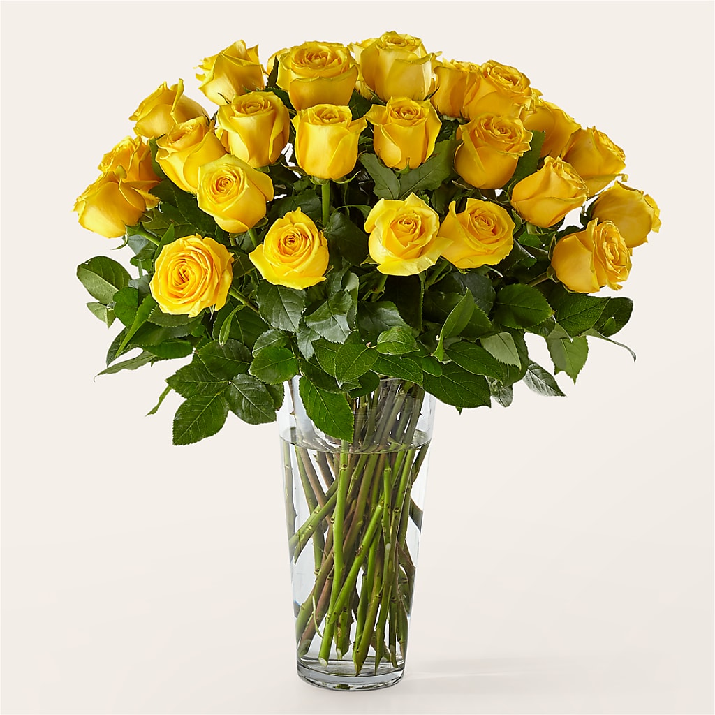 Long Stem Yellow Rose Bouquet – Nicholasville Florist, Nicholasville KY