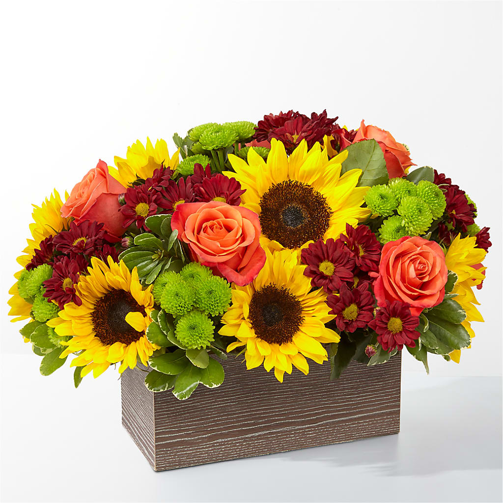 Happy Harvest Garden – Nicholasville Florist, Nicholasville KY