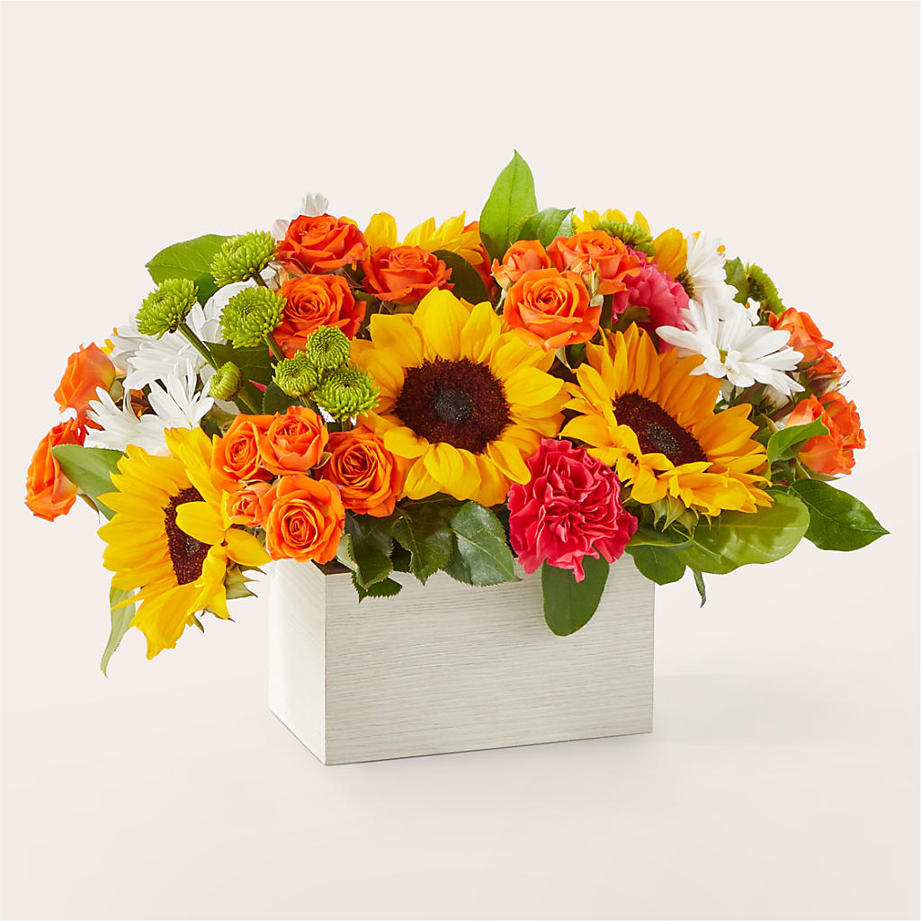 Sun-drenched Blooms Box Bouquet – Nicholasville Florist, Nicholasville KY