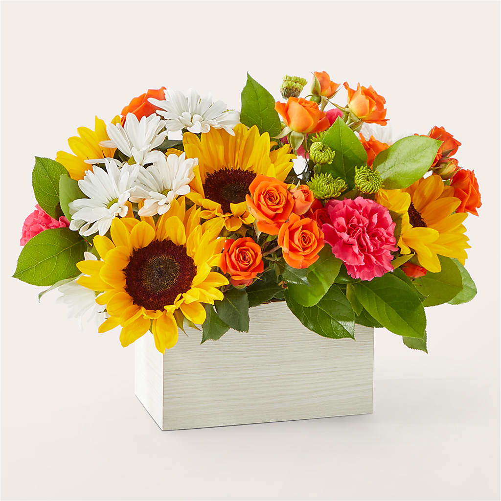 Sun-drenched Blooms Box Bouquet – Nicholasville Florist, Nicholasville KY