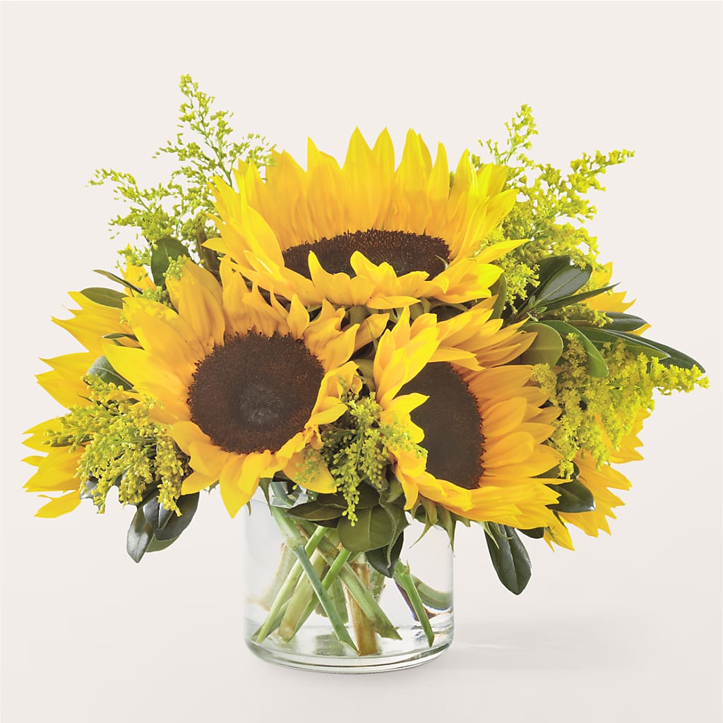 Beaming Sunflower Bouquet – Nicholasville Florist, Nicholasville KY