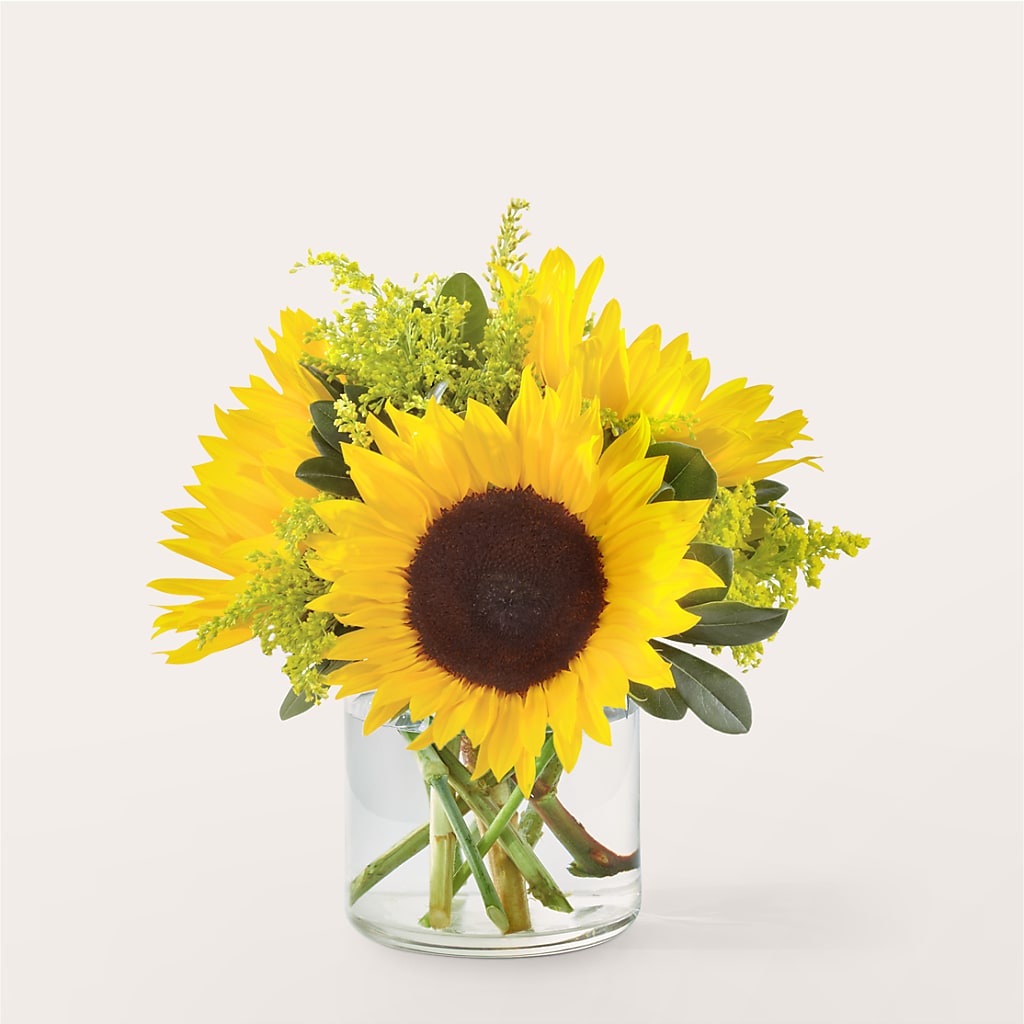 Beaming Sunflower Bouquet – Nicholasville Florist, Nicholasville KY