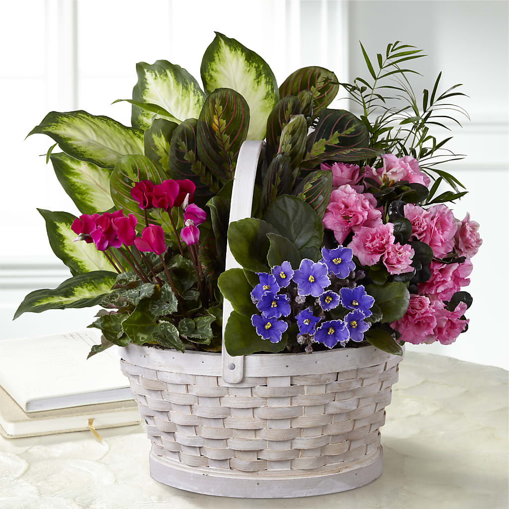 Peaceful Garden Planter – Nicholasville Florist, Nicholasville KY
