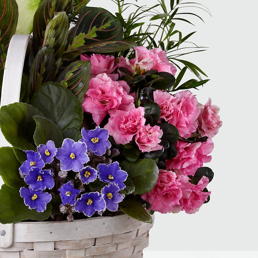 Peaceful Garden Planter – Nicholasville Florist, Nicholasville KY