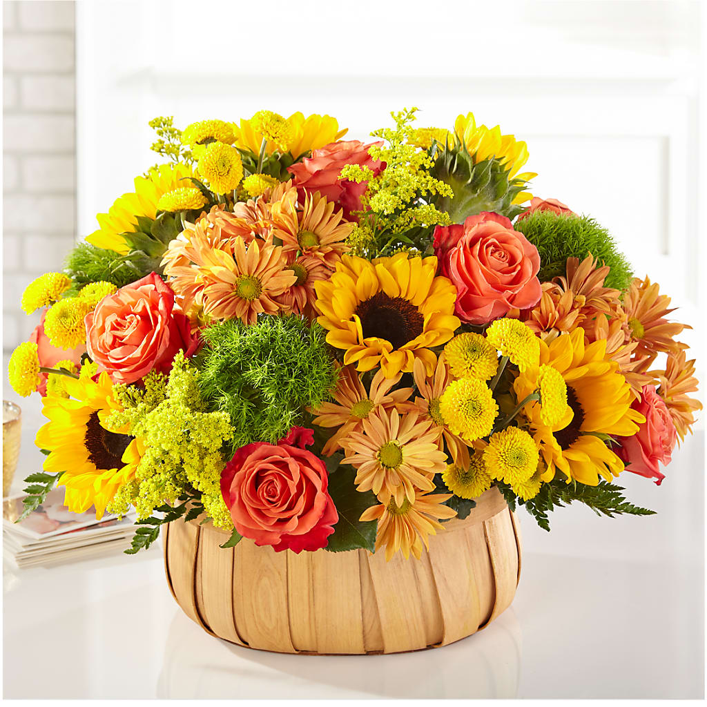 Harvest Sunflower Basket – Nicholasville Florist, Nicholasville KY