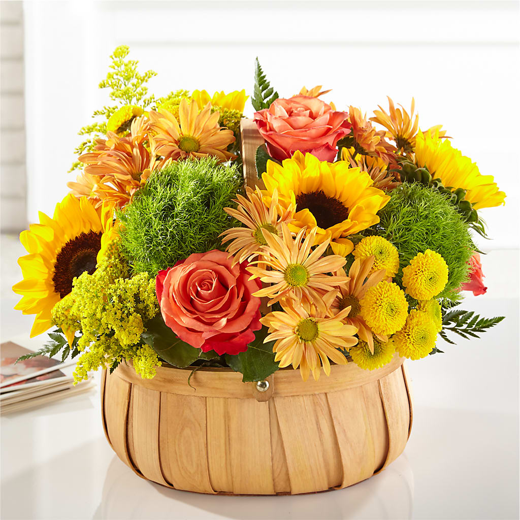 Harvest Sunflower Basket – Nicholasville Florist, Nicholasville KY
