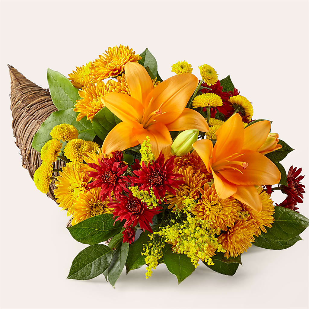 Feast of Color Cornucopia – Nicholasville Florist, Nicholasville KY