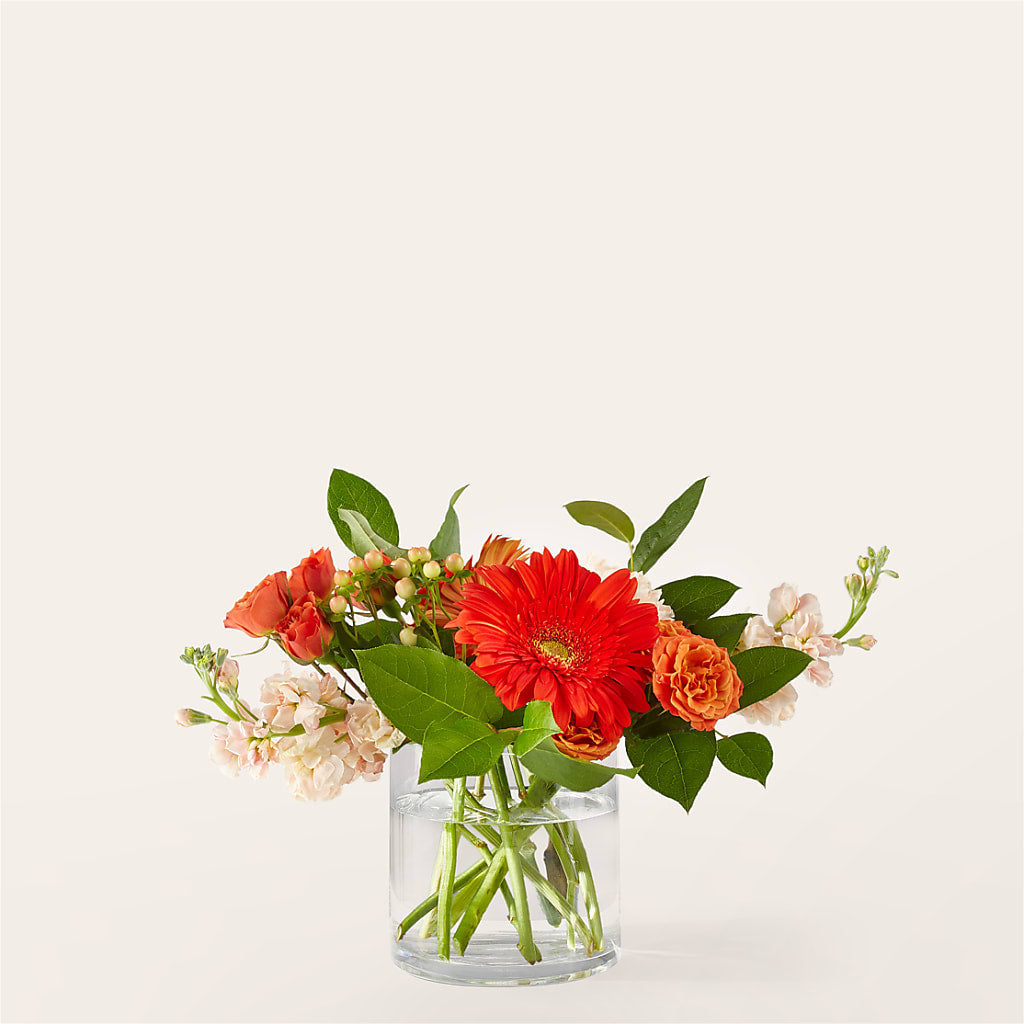 Paloma Please Bouquet – Nicholasville Florist, Nicholasville KY