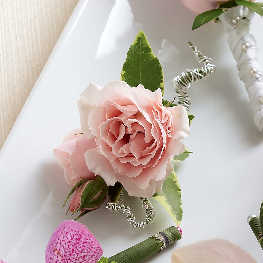 Pink Spray Rose Boutonniere – Nicholasville Florist, Nicholasville KY