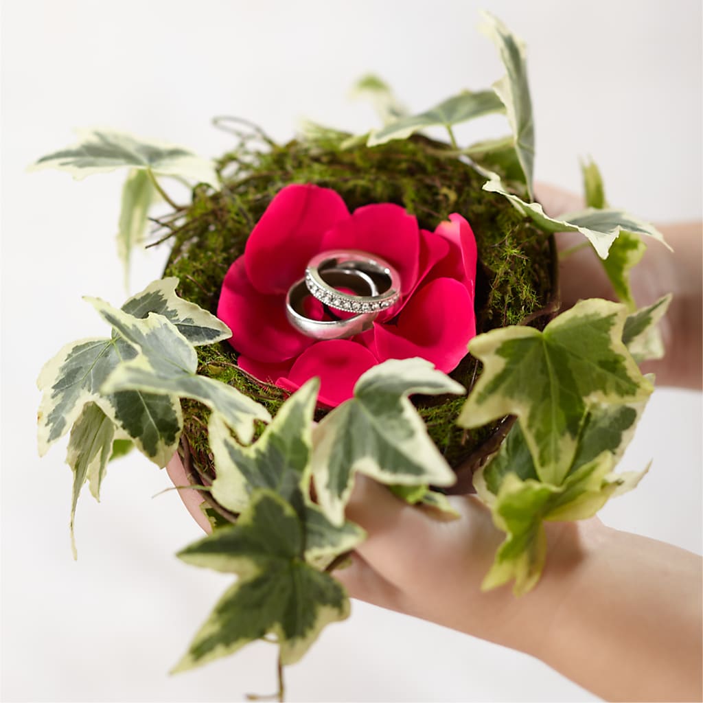 Lila Rose Ring Nest – Nicholasville Florist, Nicholasville KY