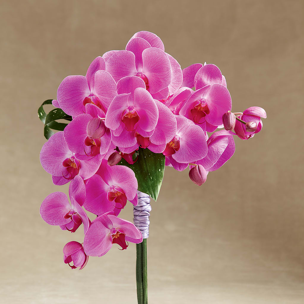 Glorious Bouquet – Nicholasville Florist, Nicholasville KY