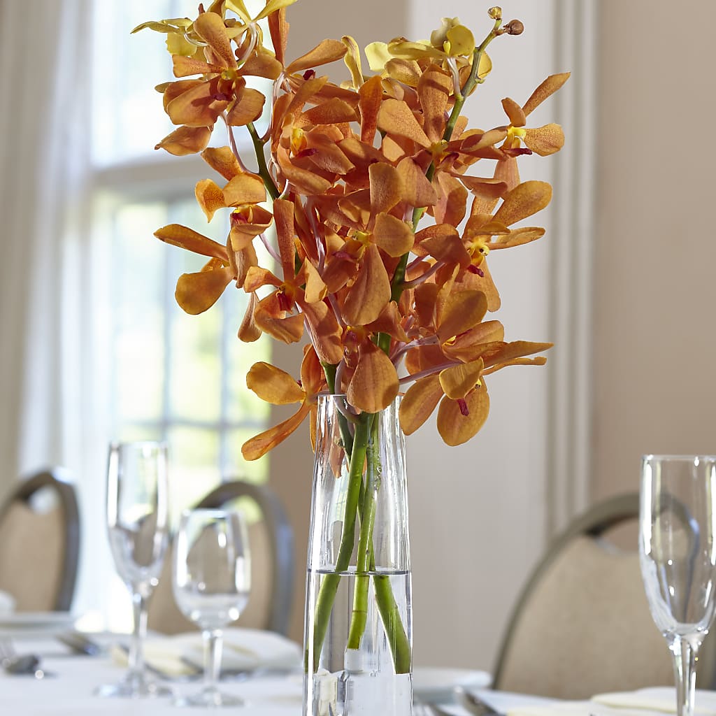 Orange Mokara Bud Vase – Nicholasville Florist, Nicholasville KY
