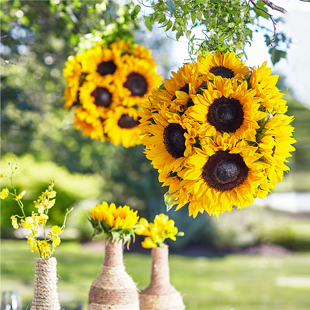 Sublime Garden Hanging Arrangement – Nicholasville Florist, Nicholasville KY