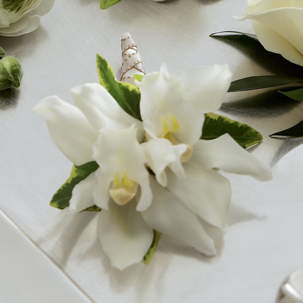 White Mini Cymbidium Boutonniere – Nicholasville Florist, Nicholasville KY