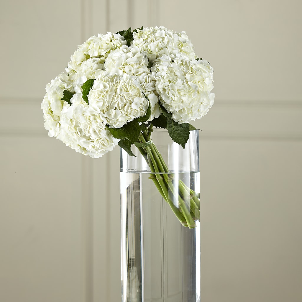 White Hydrangea Hand-Tied Bouquet – Nicholasville Florist, Nicholasville KY