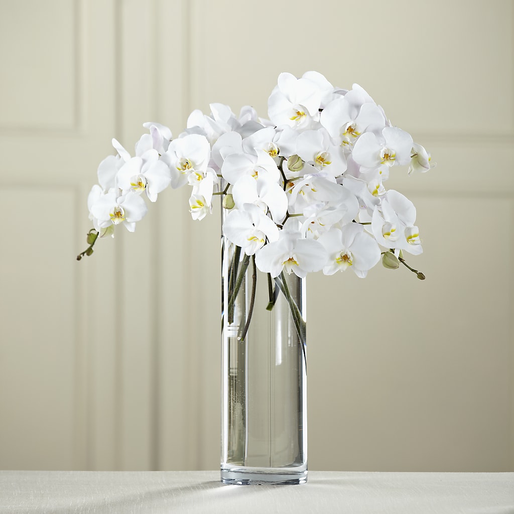 White Phalaenopsis Bouquet – Nicholasville Florist, Nicholasville KY