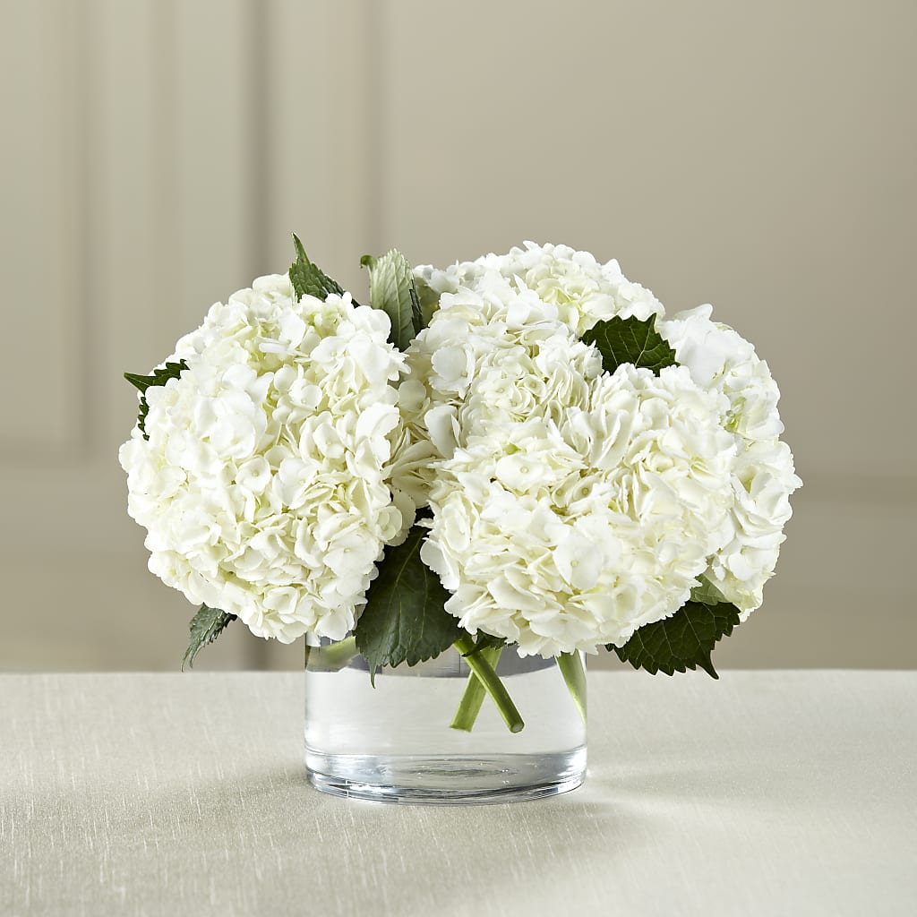 White Hydrangea Bouquet – Nicholasville Florist, Nicholasville KY