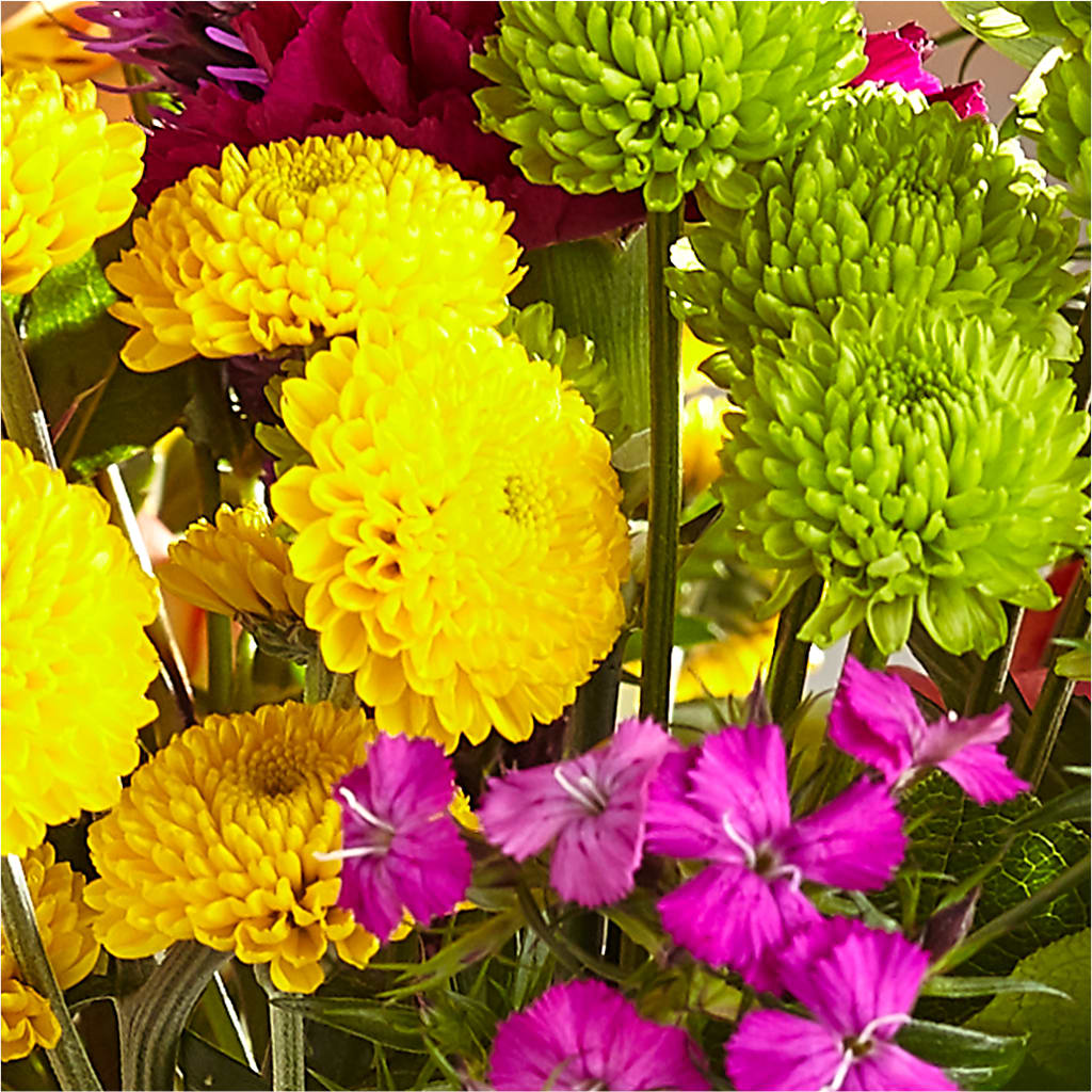 Bold & Bright – A Florist Original –  Nicholasville Florist, Nicholasville KY