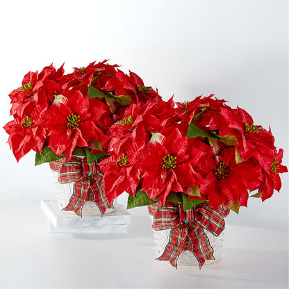 Happiest Holidays Poinsettia Bundle –  Nicholasville Florist, Nicholasville KY