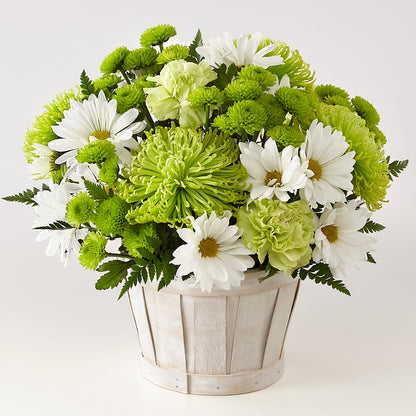 Lucky Charm Basket (Standard) –  Nicholasville Florist, Nicholasville KY