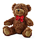 Adorable Plush Bear –  Nicholasville Florist, Nicholasville KY