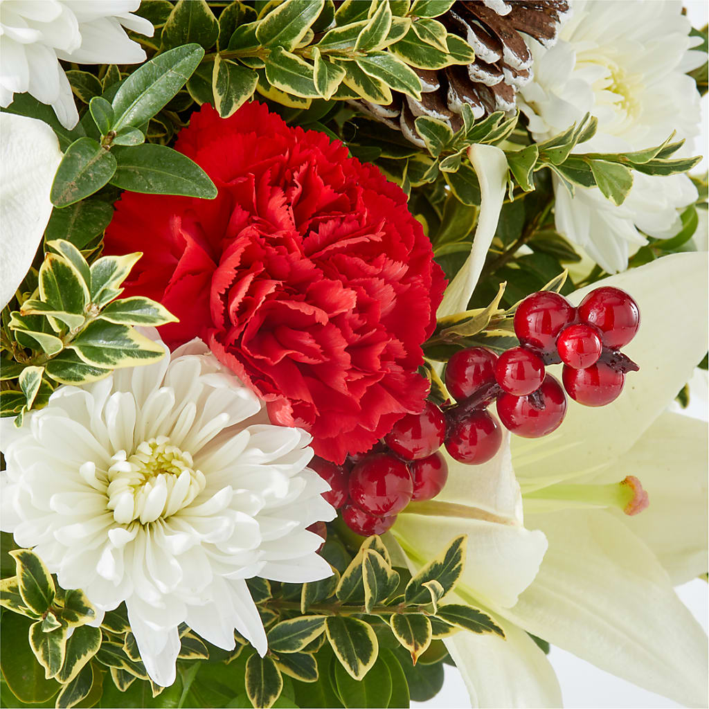 Festive Moments Tree –  Nicholasville Florist, Nicholasville KY