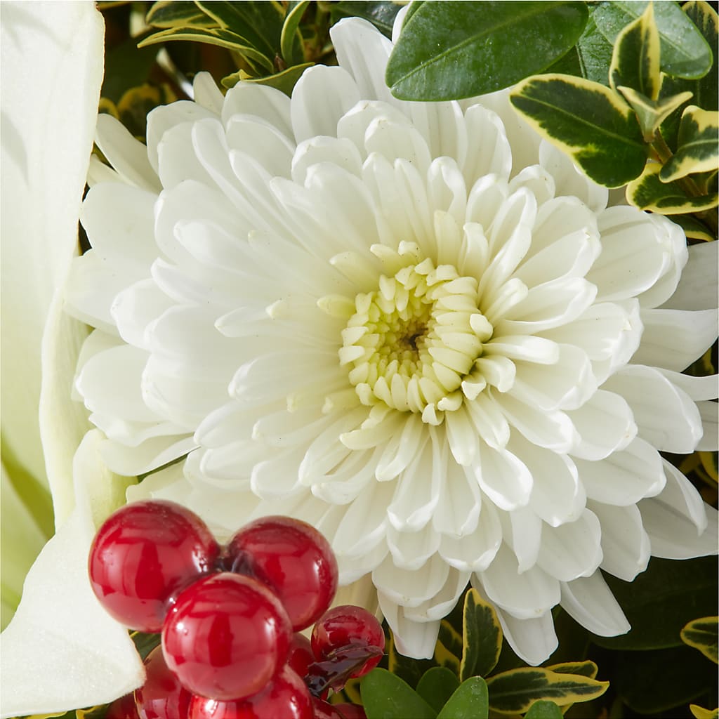 Festive Moments Tree –  Nicholasville Florist, Nicholasville KY
