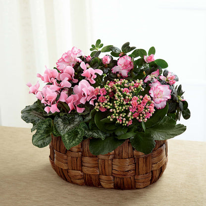 Pink Assortment –  Nicholasville Florist, Nicholasville KY