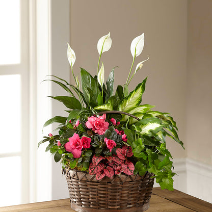 Dream in Pink Dishgarden –  Nicholasville Florist, Nicholasville KY