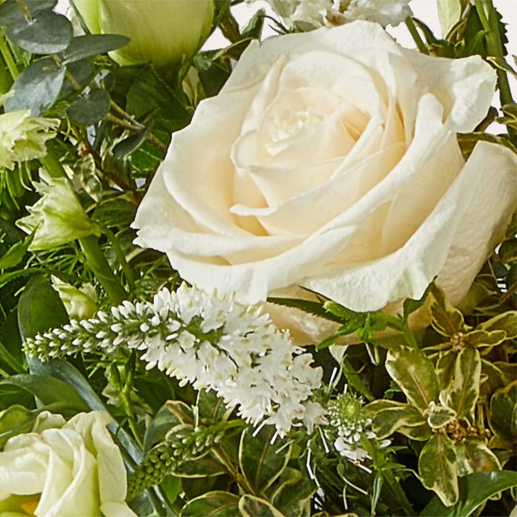 Cashmere Bouquet –  Nicholasville Florist, Nicholasville KY