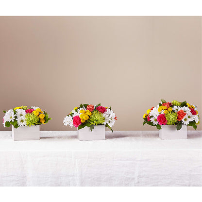 Sorbet Bouquet –  Nicholasville Florist, Nicholasville KY