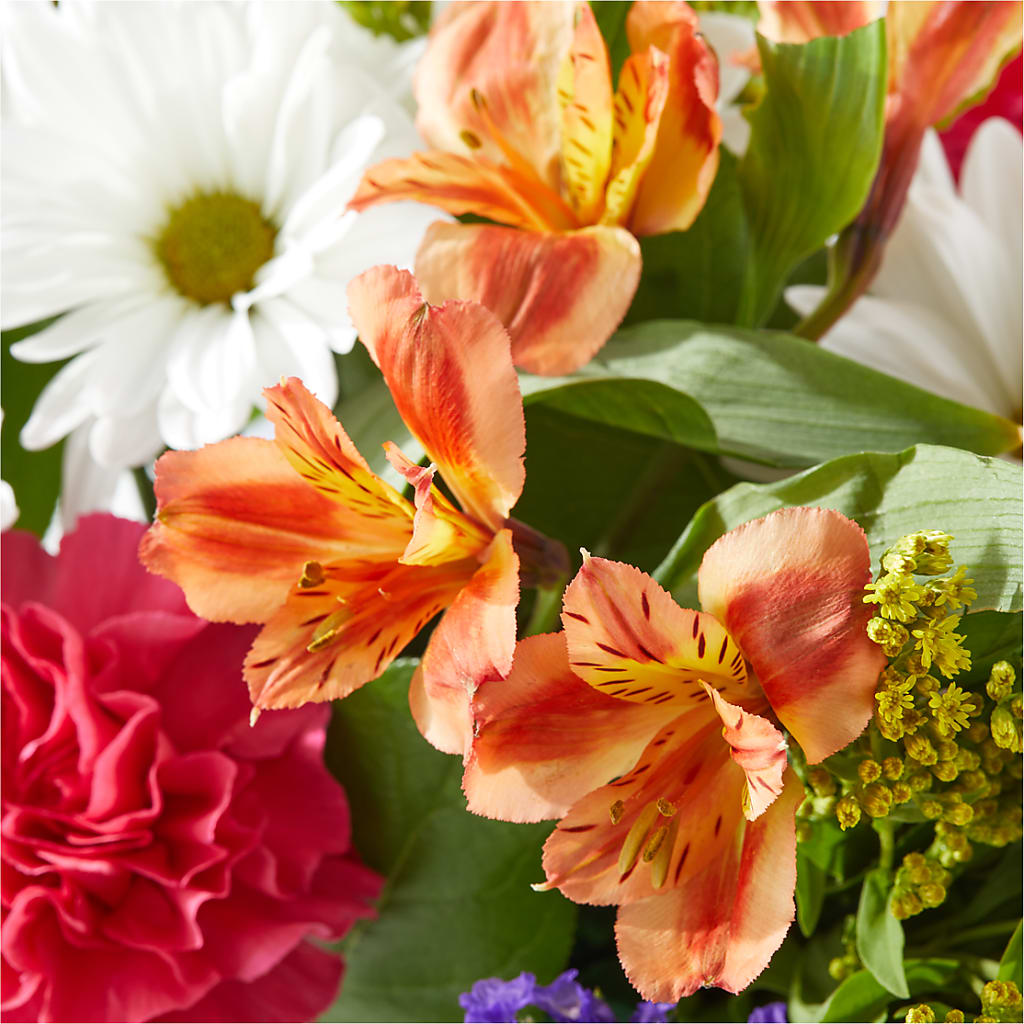 Oopsie Daisy Box Bouquet –  Nicholasville Florist, Nicholasville KY