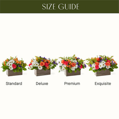 Oopsie Daisy Box Bouquet –  Nicholasville Florist, Nicholasville KY