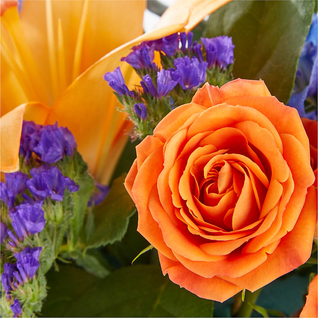 Radiant Citrus Box Bouquet –  Nicholasville Florist, Nicholasville KY