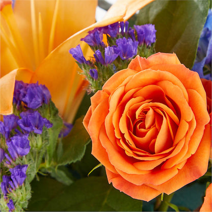 Radiant Citrus Box Bouquet –  Nicholasville Florist, Nicholasville KY