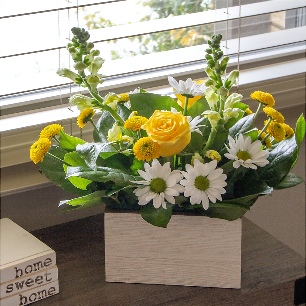 Sun Salutation Box Bouquet –  Nicholasville Florist, Nicholasville KY