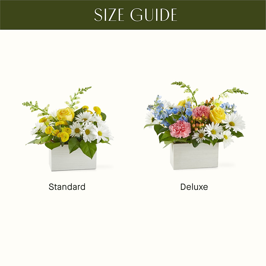 Sun Salutation Box Bouquet –  Nicholasville Florist, Nicholasville KY