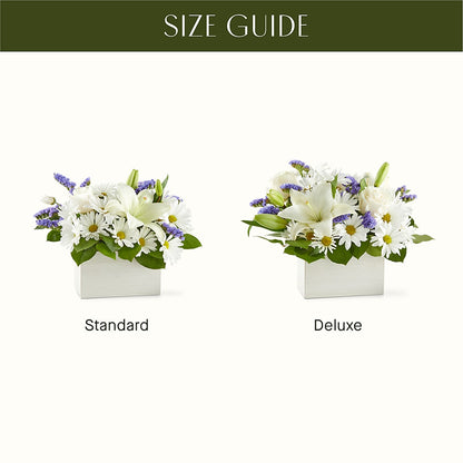 Beyond Blue Box Bouquet –  Nicholasville Florist, Nicholasville KY