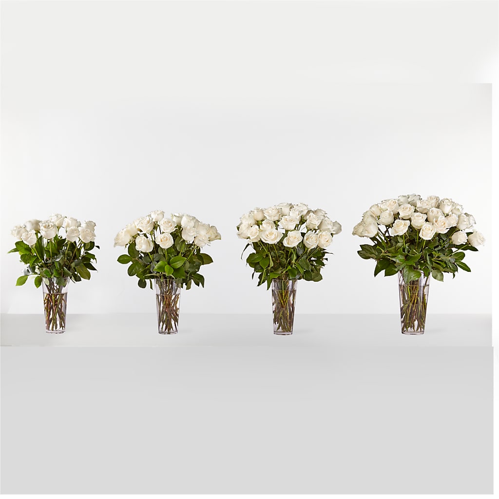 Long Stem White Rose Bouquet –  Nicholasville Florist, Nicholasville KY