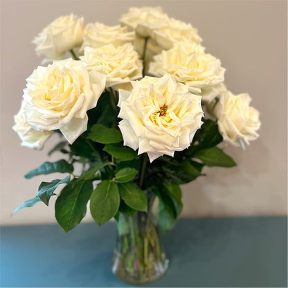 Long Stem Yellow Rose Bouquet –  Nicholasville Florist, Nicholasville KY