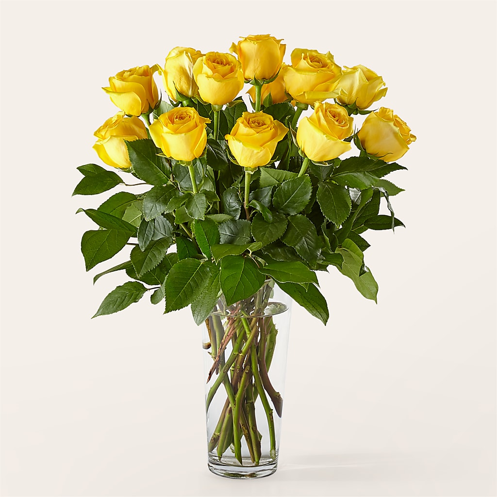 Long Stem Yellow Rose Bouquet –  Nicholasville Florist, Nicholasville KY
