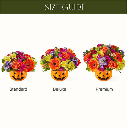 Tricks & Treats Pumpkin –  Nicholasville Florist, Nicholasville KY