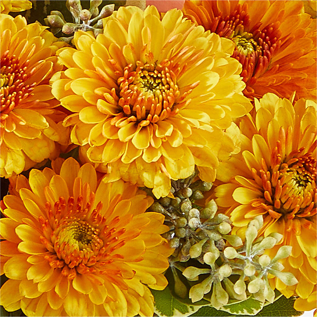 Peachy Pumpkin –  Nicholasville Florist, Nicholasville KY