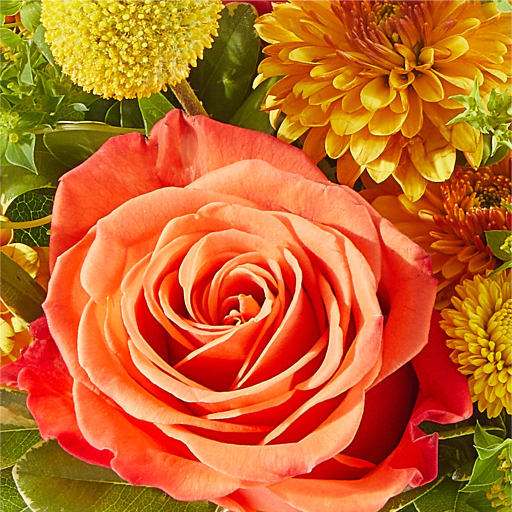 Gourdgeous Pumpkin –  Nicholasville Florist, Nicholasville KY