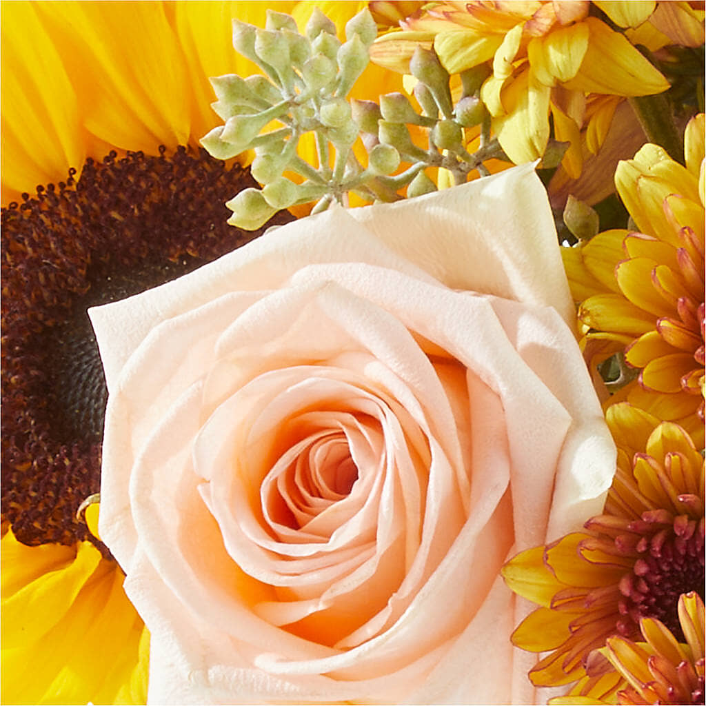Pumpkin to Talk About Bouquet –  Nicholasville Florist, Nicholasville KY